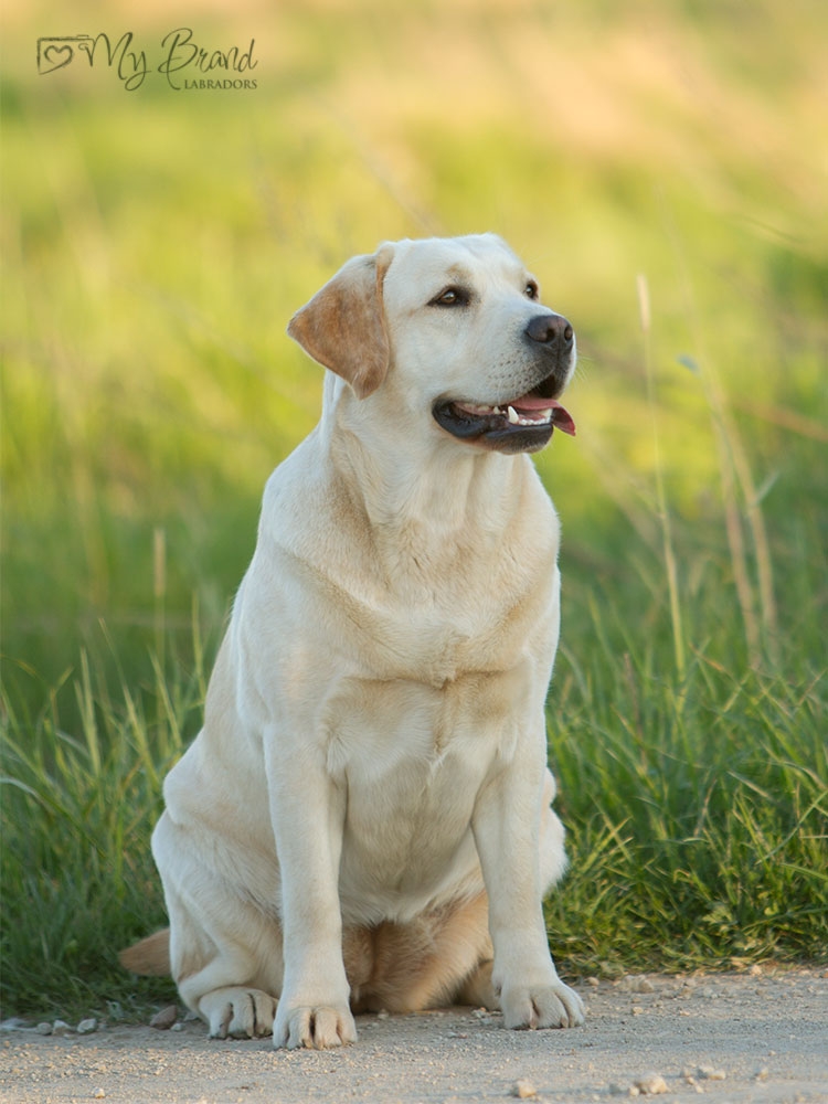 MB-Rose-Is-A-Rose-headshot-16m