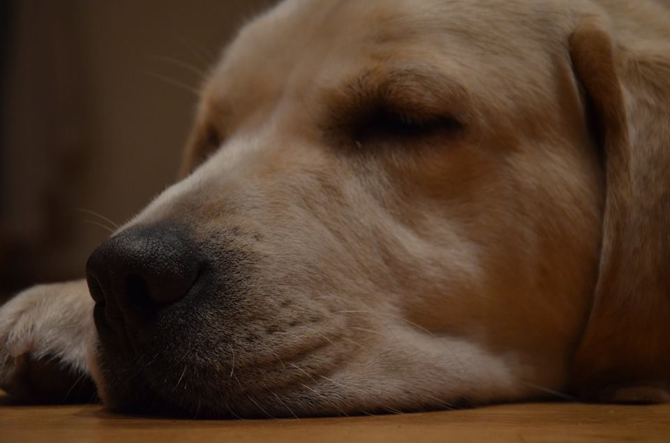 Mimi - foto Guna Rize