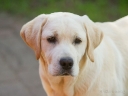 juuli-2015-028
