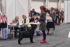 My Brand Rule Of Thumb