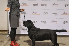 My Brand Rule Of Thumb