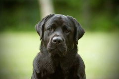 My Brand Rule Of  Thumb