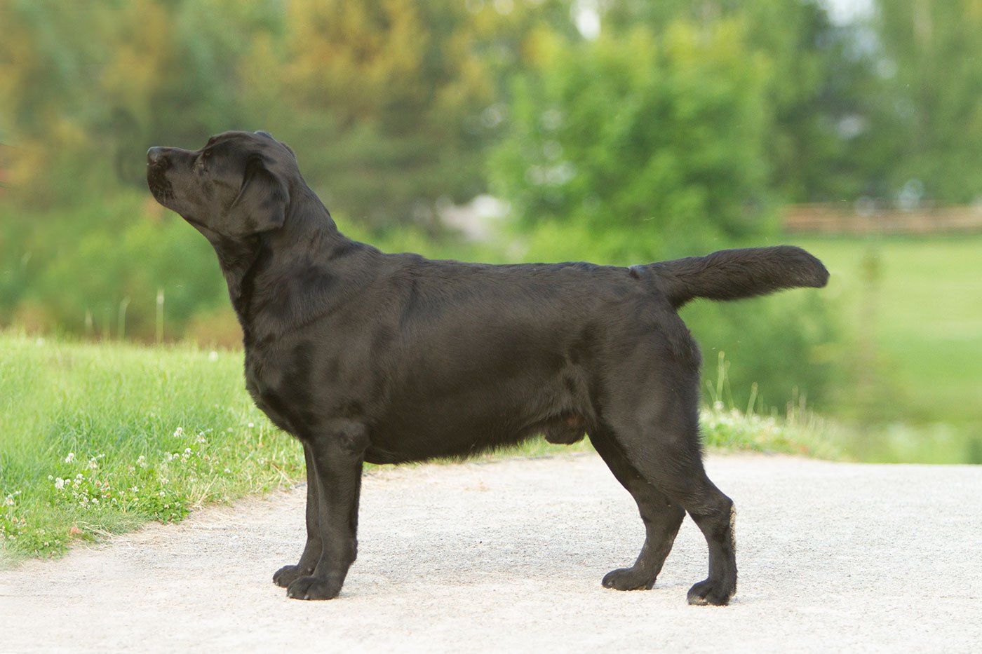 My Brand Rule Of Thumb