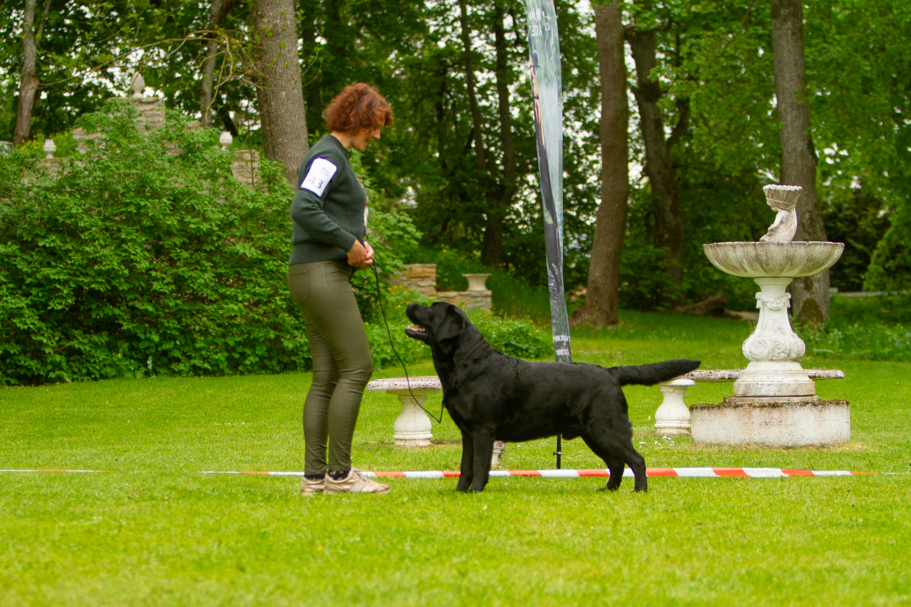 My Brand San Antonio