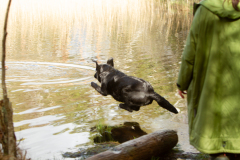 My Brand San Antonio "Antonio"