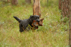 My Brand San Antonio "Antonio"