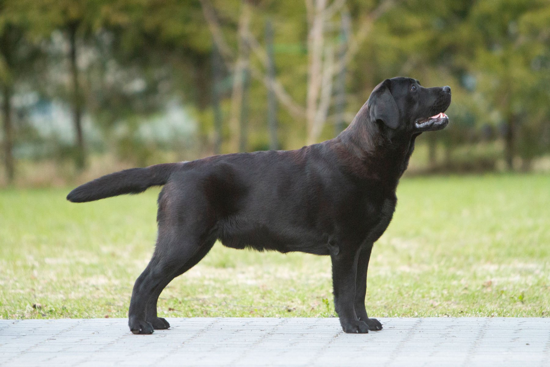 My Brand San Gabriel