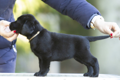 My Brand Smile Worth Thousand Words