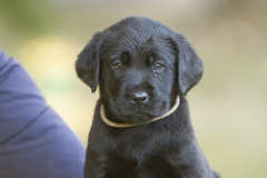 My Brand Smile Worth Thousand Words