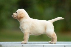 web-MB-So-Last-Season-6w_9