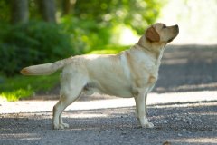 My Brand Soul Of Gold, 12 months