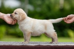 My Brand Soul Queen. Photo Mari-Liis Rihkrand.