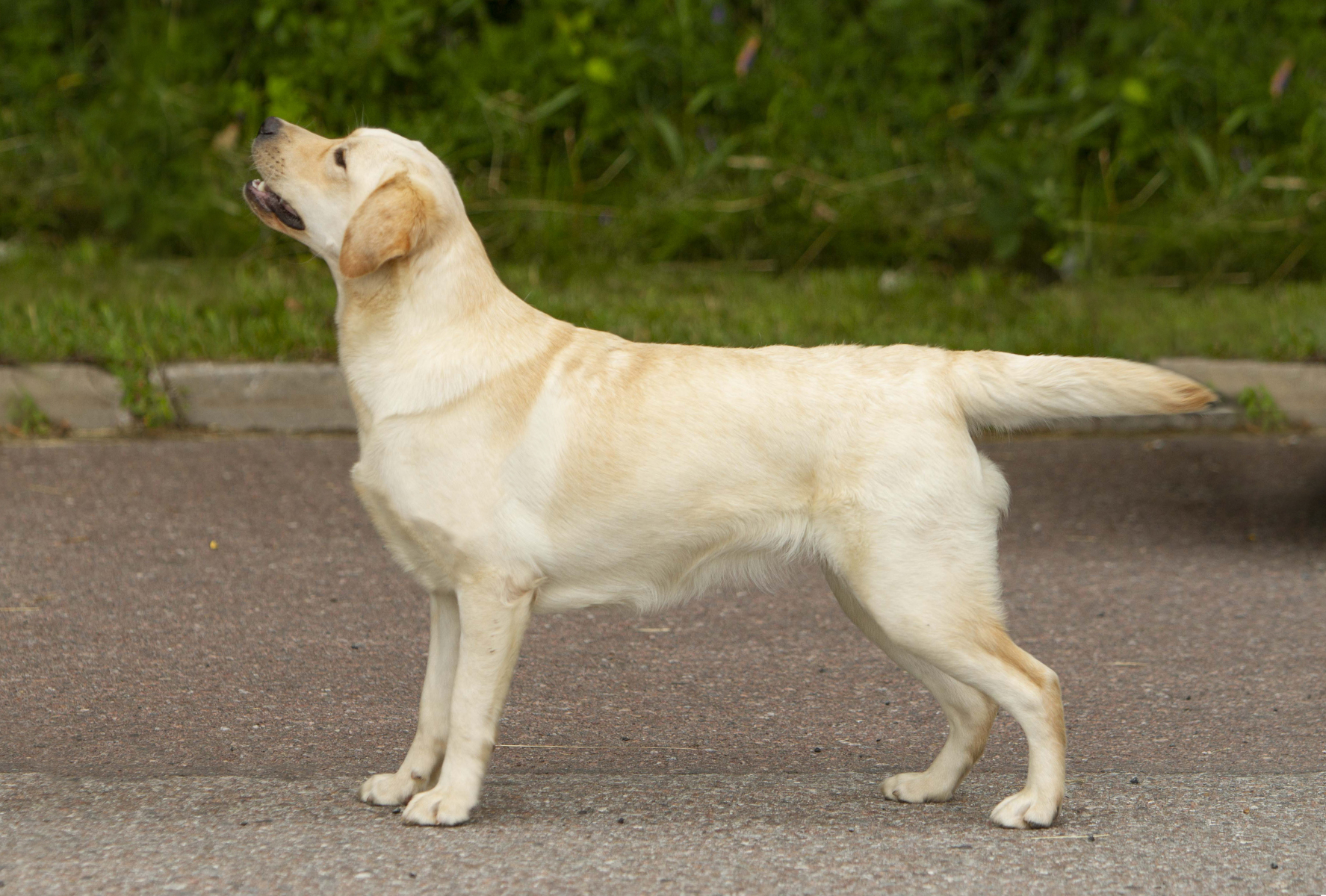 My Brand Soul Sister