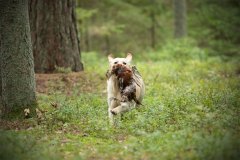 My Brand Soul Sister (photo by Mari-Liis Rihkrand)