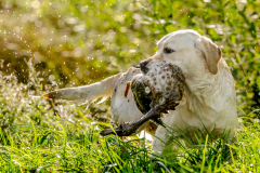 My Brand Soul Sister "Missy"