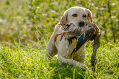 My Brand Soul Sister "Missy"