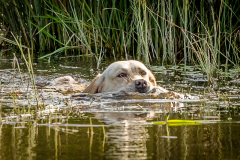 My Brand Soul Sister "Missy"