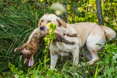 My Brand Soul Sister "Missy"