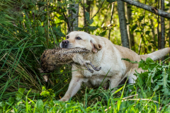 My Brand Soul Sister "Missy"