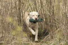 My Brand Soul Sister "Missy"