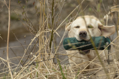 My Brand Soul Sister "Missy"