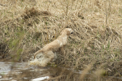 My Brand Soul Sister "Missy"