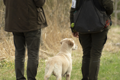 My Brand Soul Sister "Missy"