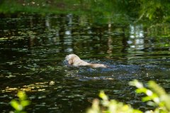 My Brand Soul Sister "Missy"