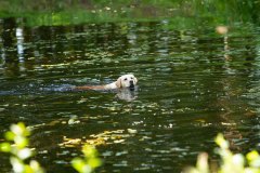 My Brand Soul Sister "Missy"