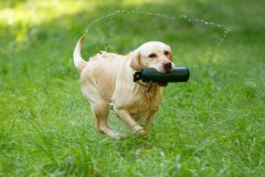 My Brand Soul Sister "Missy"