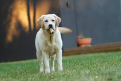 My Brand Soul Sister