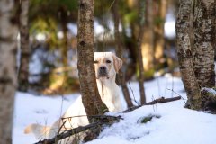 My Brand Soul Sister