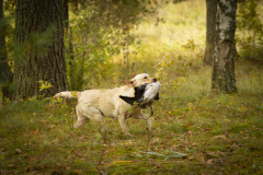 My Brand Soul Sister (photo by Mari-Liis Rihkrand)