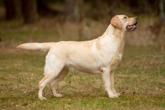 My Brand Soul Sister