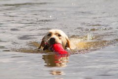 My Brand Soul Sister