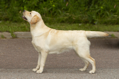 My Brand Soul Sister (1 year old)