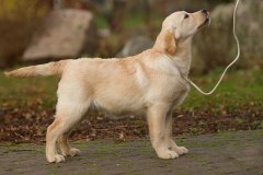 My Brand Soul Sister