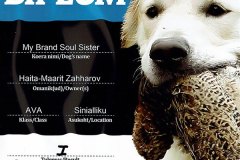 My Brand Soul Sister