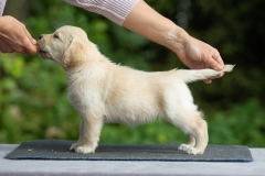 My Brand Soul Sister (photo by Mari-Liis Rihkrand)