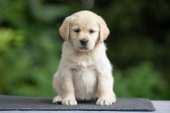 My Brand Soul Sister (photo by Mari-Liis Rihkrand)