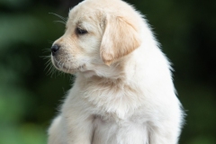 My Brand Soul Sister (photo by Mari-Liis Rihkrand)