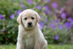 My Brand Soul Sister (photo by Mari-Liis Rihkrand)