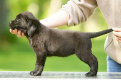 My-Brand-Twice-As-Nice