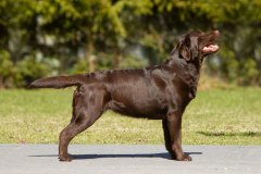 MB-Twice-As-Sweet-2y-web