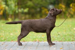 My Brand Twice As Sweet