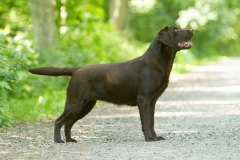 My Brand Twice As Sweet (one year old)