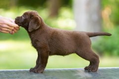 My Brand Twice As Sweet