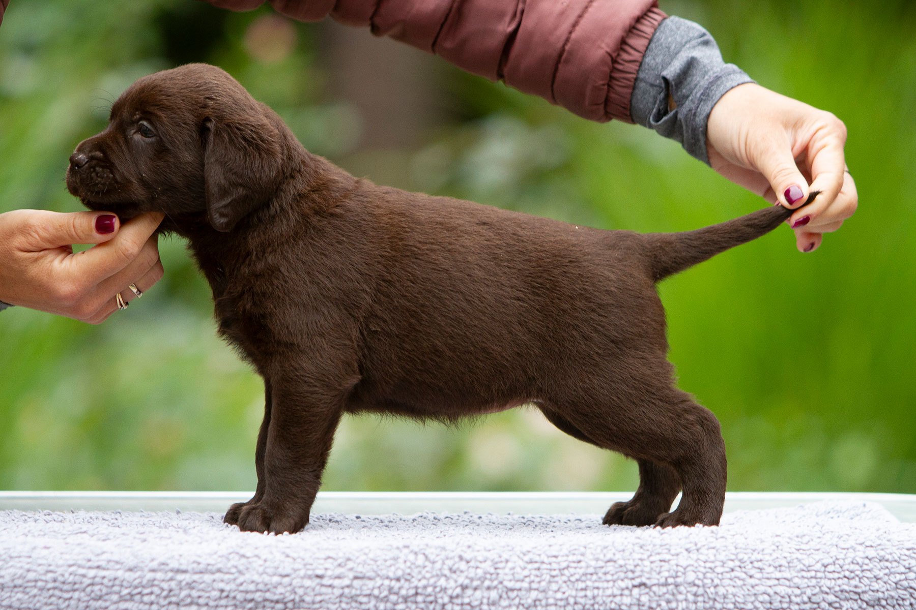 My Brand Twice Blessed