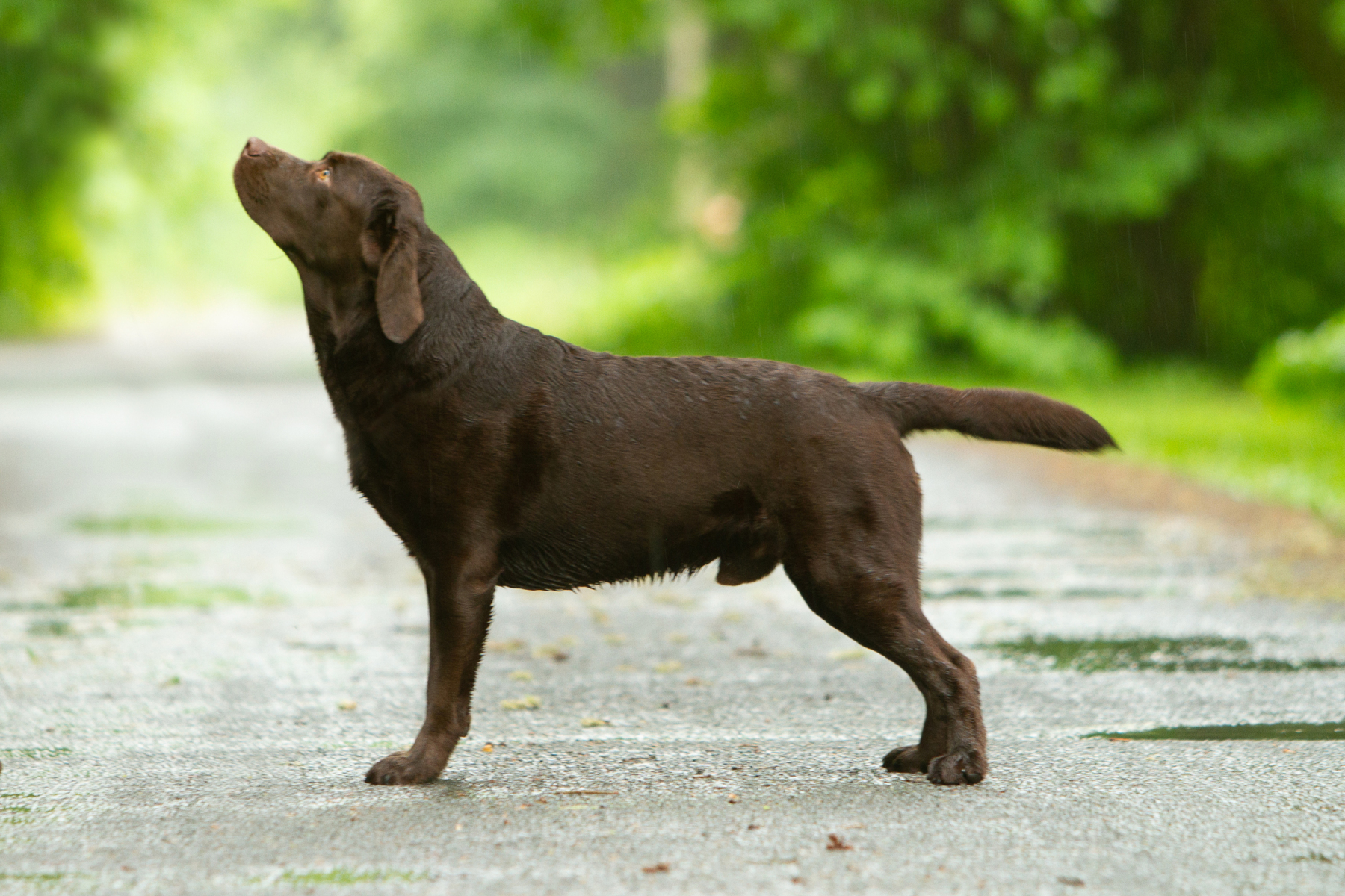 My Brand Twice Is Not Enough