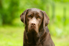 My Brand Twice Is Not Enough